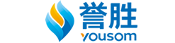 上海譽勝商(shāng)務(wù)服務(wù)有(yǒu)限公(gōng)司
